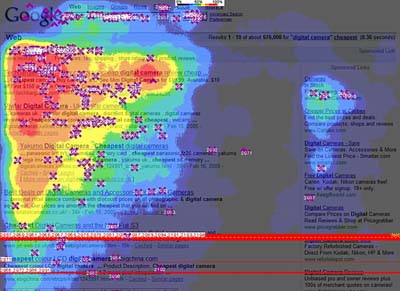 Google SERP Eye Tracking